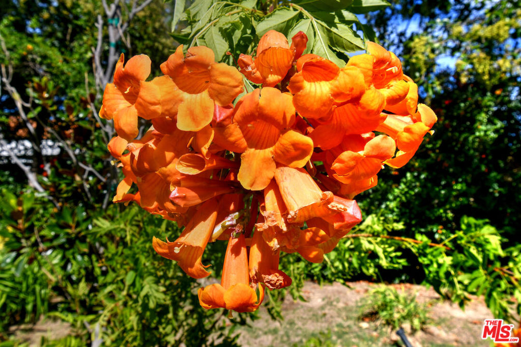 El Encanto - Residential