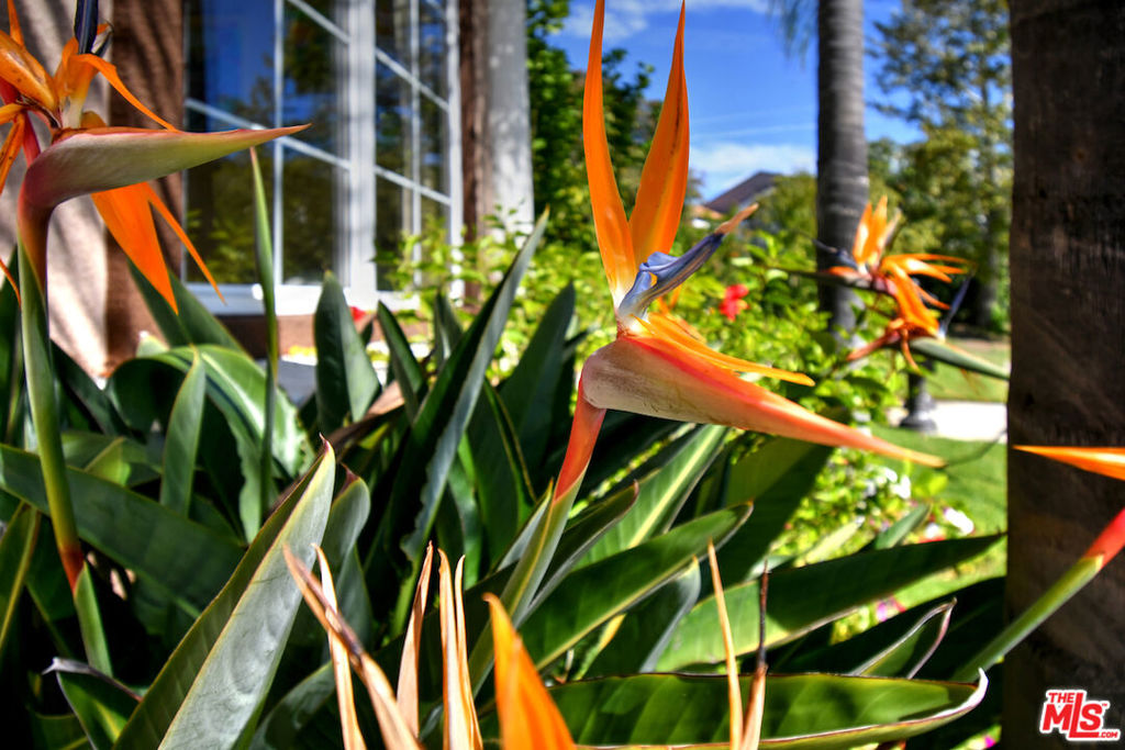 El Encanto - Residential