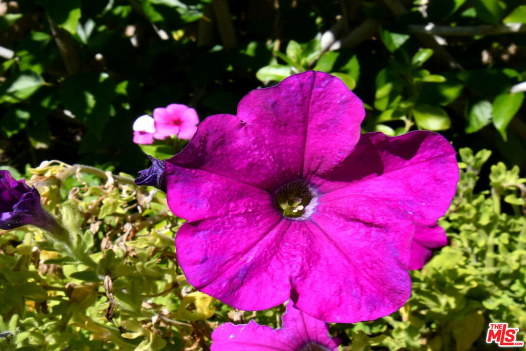 El Encanto - Residential