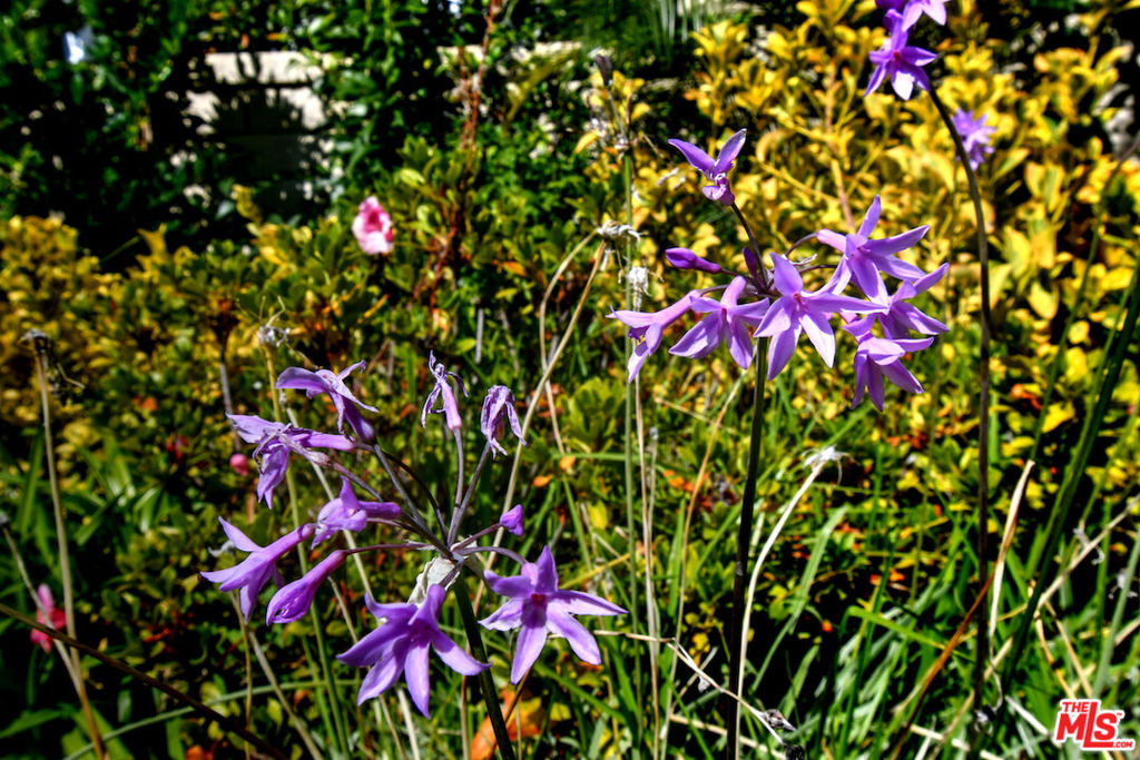 El Encanto - Residential