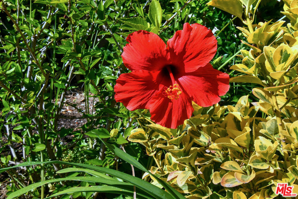 El Encanto - Residential