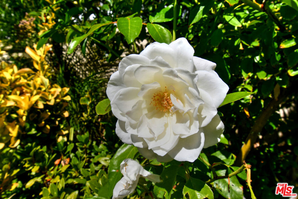 El Encanto - Residential