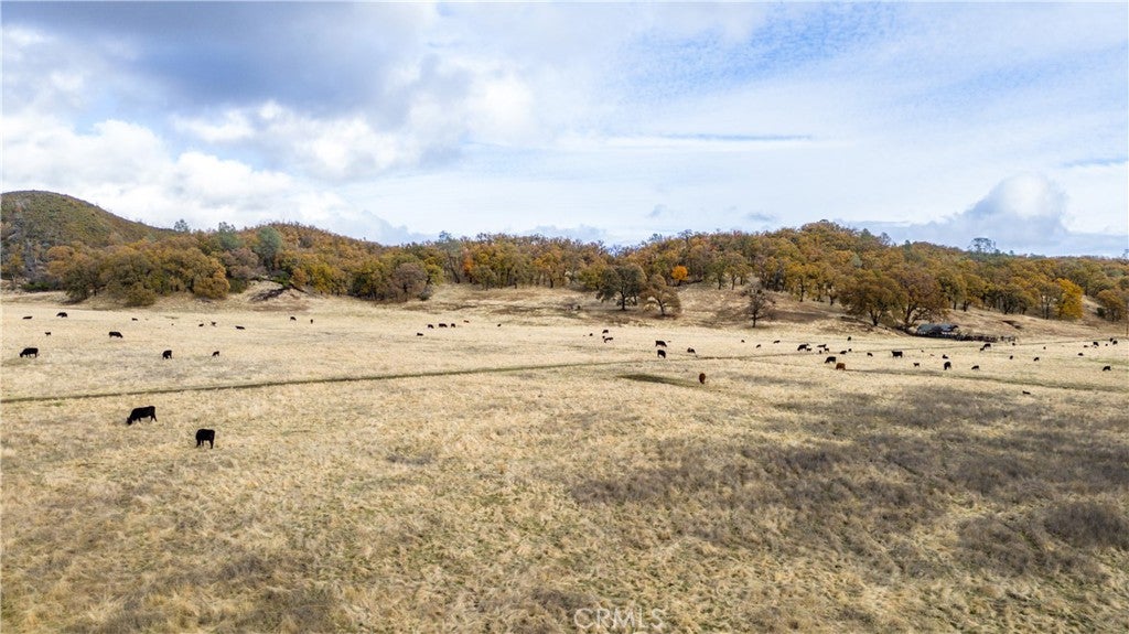 11158 Rocky Creek Road