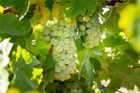 Tiny photo for 5790 Hog Canyon Road, San Miguel, CA 93451 (MLS # NS25180136)