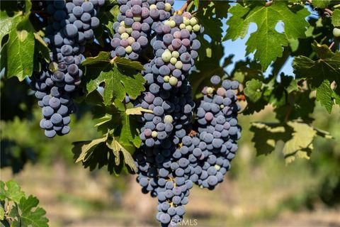 Tiny photo for 5790 Hog Canyon Road, San Miguel, CA 93451 (MLS # NS25180136)