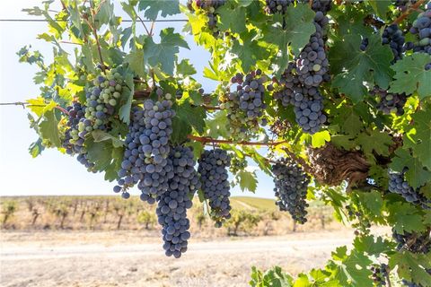 Tiny photo for 5790 Hog Canyon Road, San Miguel, CA 93451 (MLS # NS25180136)