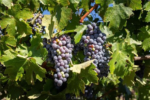 Tiny photo for 5790 Hog Canyon Road, San Miguel, CA 93451 (MLS # NS25180136)