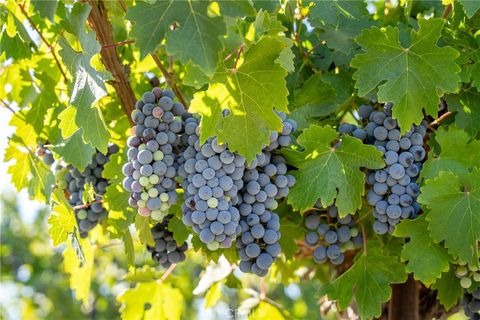 Tiny photo for 5790 Hog Canyon Road, San Miguel, CA 93451 (MLS # NS25180136)