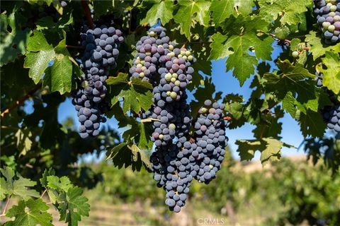 Tiny photo for 5790 Hog Canyon Road, San Miguel, CA 93451 (MLS # NS25180136)