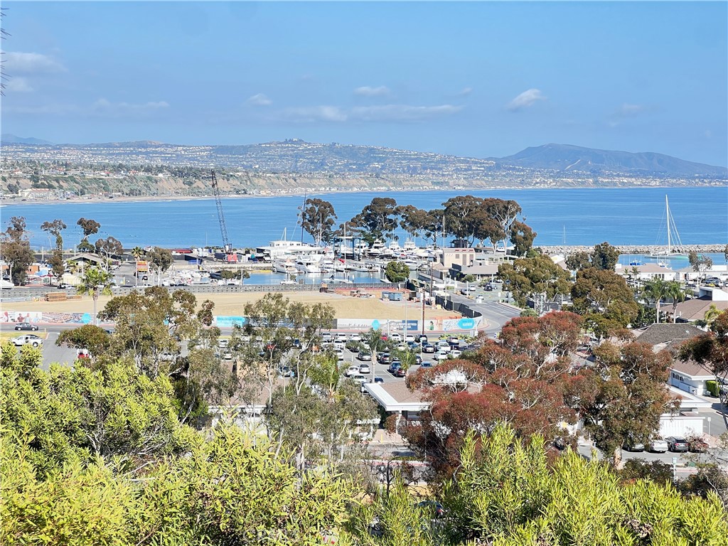 Custom - Residential Lease