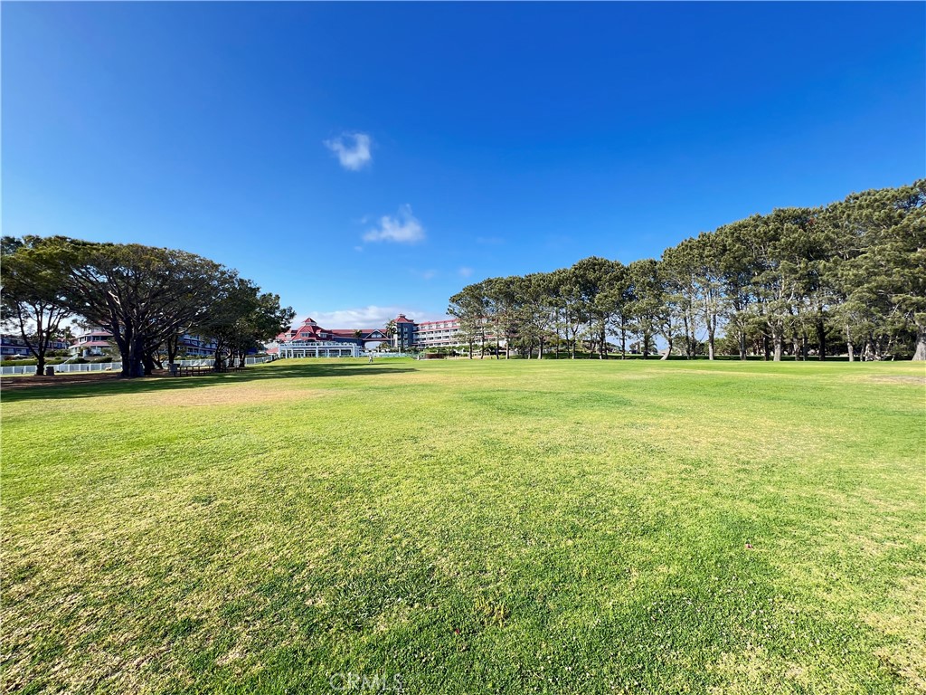 Custom - Residential Lease