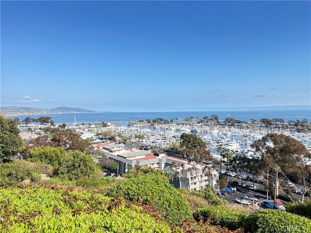 Custom - Residential Lease