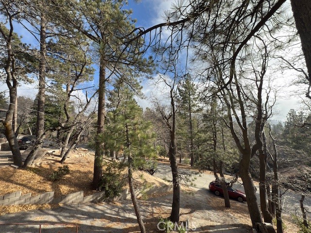 33058 Juniper Lane