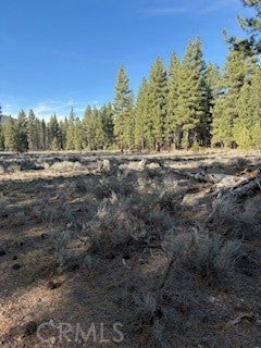 34557 Polique Canyon