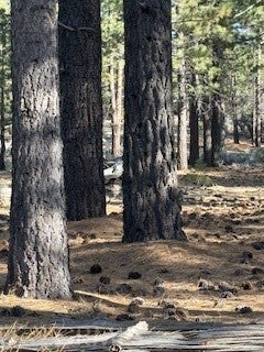 34557 Polique Canyon