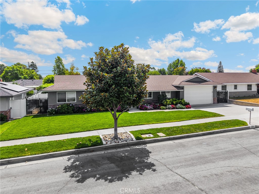 This charmer has been worth the wait! Welcome to this stunning 3 bedroom, 2 bath single-level home, thoughtfully remodeled with style and comfort in mind. The original floor plan as been reimagined, creating a warm, open and inviting atmosphere the moment you enter. The chefs kitchen is a true centerpiece, featuring granite countertops and matching backsplash, recessed lighting, an island with an extra sink, a beverage fridge, and space for a small oven. There's stainless steel Wolf appliances and a Sub-Zero refrigerator two dishwashers, warming oven and a custom pantry Attention to detail flows throughout including plantation shutter and hard wood floors. The primary suite is a private retreat with high ceiling with fan and a charming window seat/nook. The private entrance to the patio is convenient for an escape to the hot tub and relaxing outdoors. The spacious primary bath has dual sinks and an over-sized shower! You'll love extra large custom walk-in closet. Outdoors the covered patio is designed for entertaining and has custom lighting and dual ceiling fans
The oversized garage offers custom 9' doors at the front and the rear. It's perfect for 3 vehicles or a small RV. plus, oh my, the storage is plentiful. The custom-built shed with electricity and lighting could be a child's dream play house, a beautiful "Shed Shed" or a Man Cave. workshop or just plain storage. Surrounded by beautiful landscaping and located in a great neighborhood, this home checks all the boxes and a must see! Close to a award winning Arbolita school, shopping and recently refurbished Simonian Old Reservoir Park