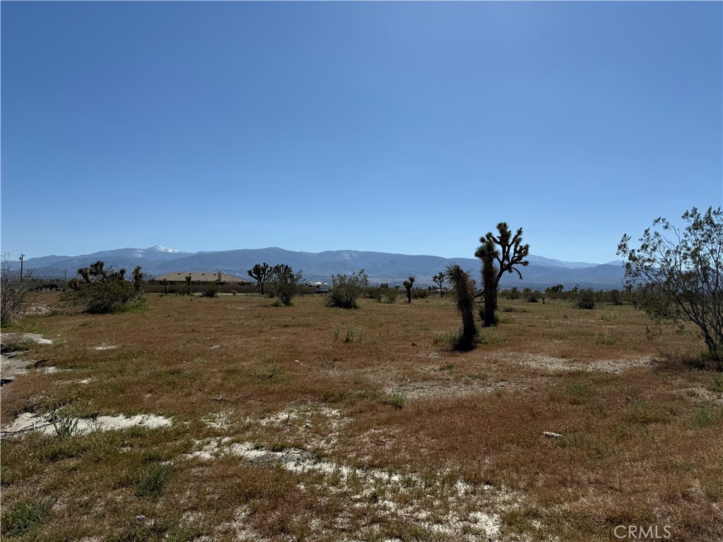 0 La Mesa
