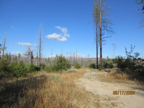 Photo of 95 Shane Court, Berry Creek, CA 95916 (MLS # PA26224851)