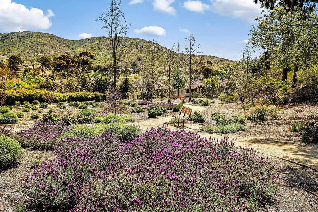 Sabre Spr - Residential