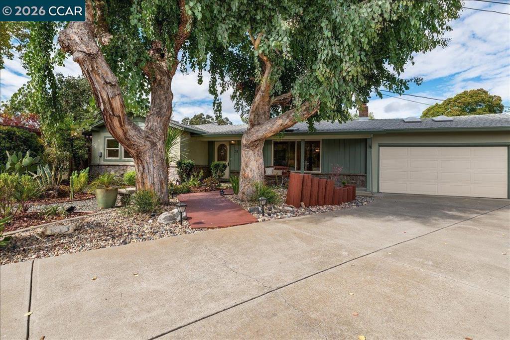 31 Rogers CT