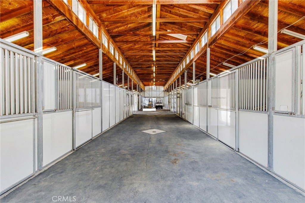 37954 Calle De Lobo