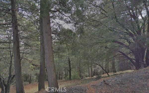0 Burnt Mill Canyon