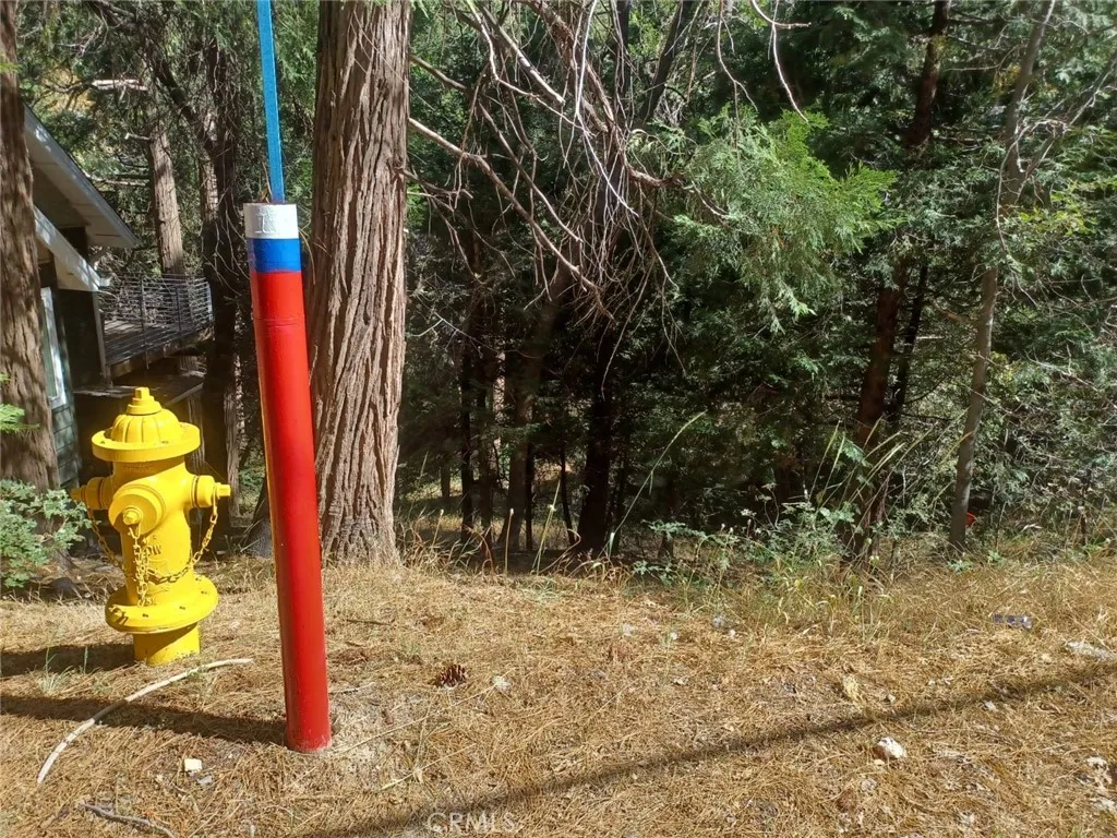 Twin Peaks, California 92391, United States, ,Land,Active,191015