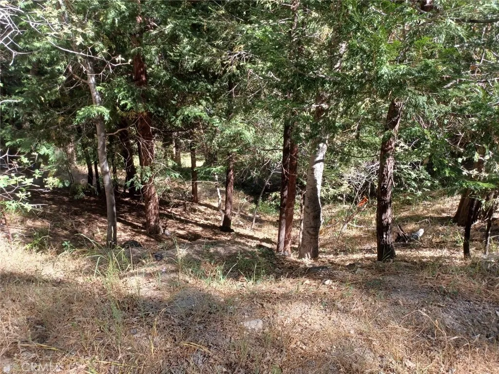 Twin Peaks, California 92391, United States, ,Land,Active,191015