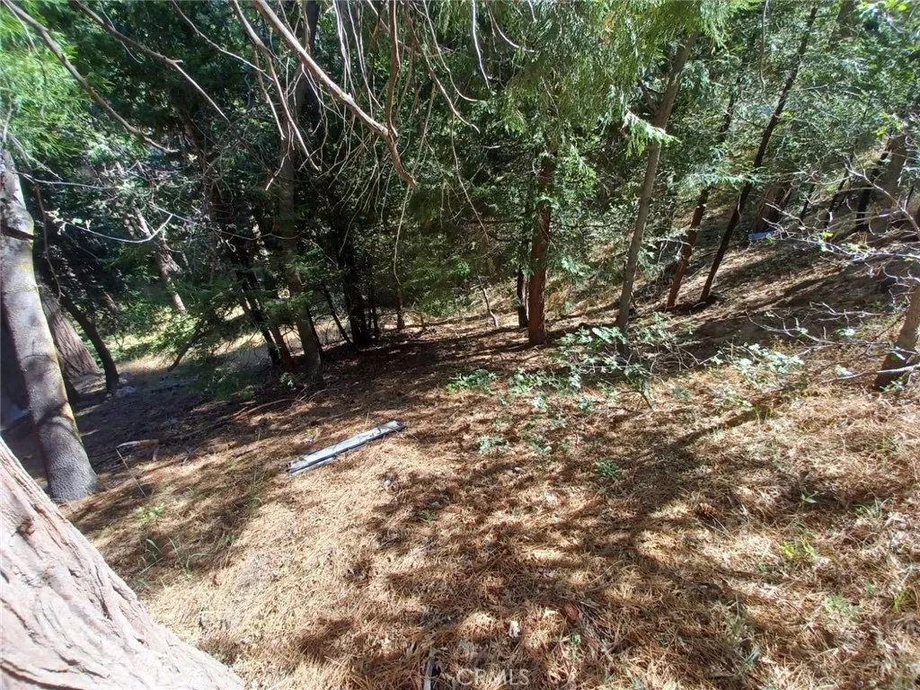 Twin Peaks, California 92391, United States, ,Land,Active,191015