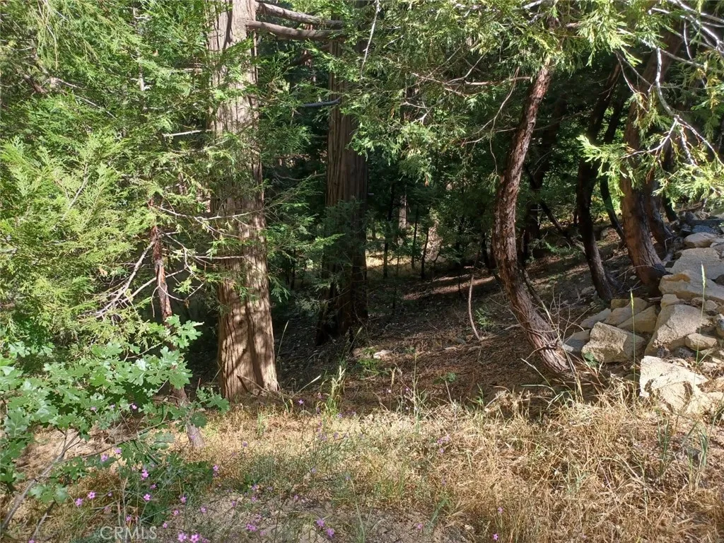 Twin Peaks, California 92391, United States, ,Land,Active,191015