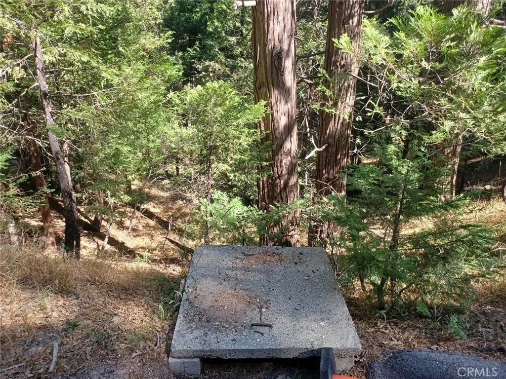 Twin Peaks, California 92391, United States, ,Land,Active,191015