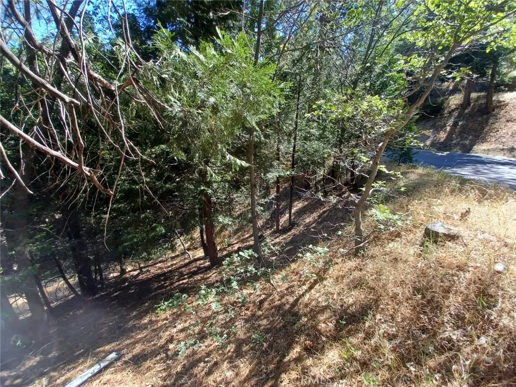 Twin Peaks, California 92391, United States, ,Land,Active,191015