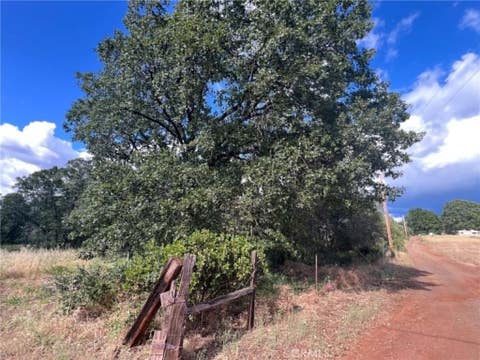 Photo of 0 Manton School Rd, Manton, CA 96059 (MLS # LC26120951)