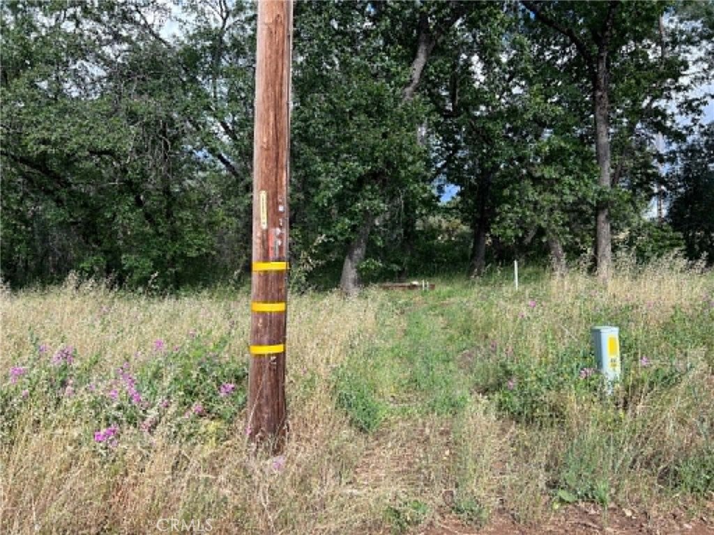 0 Manton School Rd
