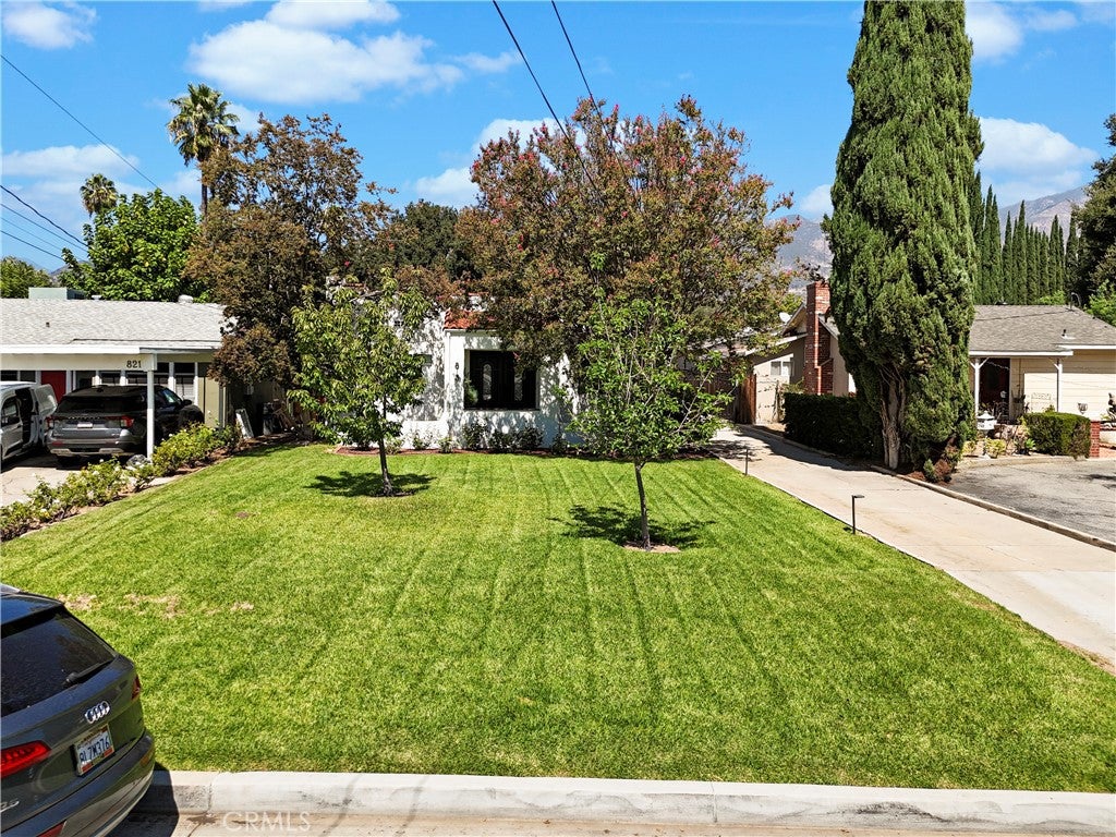 813 Mountain View