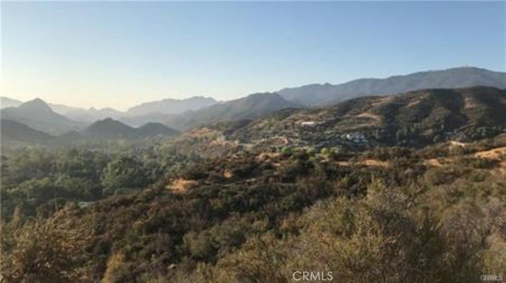 0 Triunfo Canyon Road