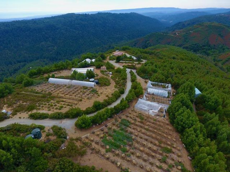 Spectacular end-of-road setting at the top of the world! At the culmination of your drive over paved and unpaved roads you pass through the front gate and onto the grounds of this broad skyline estate that overlooks the trailhead of nearby Demonstration Forest in the foreground, out to the expanse of the entire Monterey Bay. The upper section of its over 19 acres of gently sloped ridge is bedecked with now-dormant trellised rows that could be transformed into a vineyard, followed by a series of greenhouse sites and a large level pad that can accommodate a tennis or basketball court. Multiple storage buildings and refrigeration units lend to re-opening as a thriving agrarian compound, or to repurpose as a full-scale winery. With an available yurt and RV for guests, the home presides over these surroundings with Mediterranean flair under soaring ceilings, bedecked in hardwood and granite, offering comfortable single level living with a broad veranda well-suited for the sunny climate.
