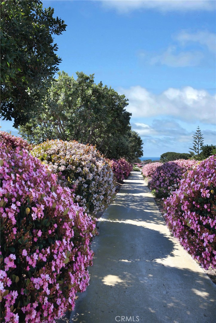 Gardens (Ocean side of PCH) (NSO) - Residential Lease