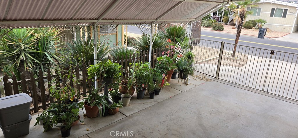 30949 Palmetto Palm Avenue