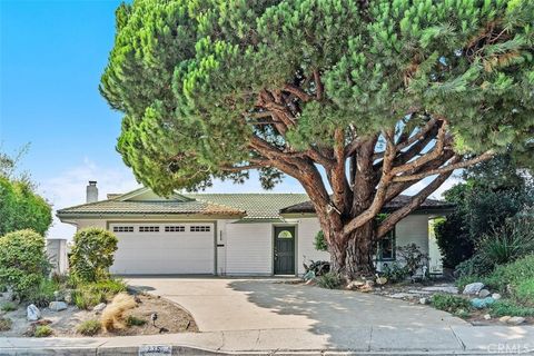 235 S La Esperanza San Clemente CA 92672