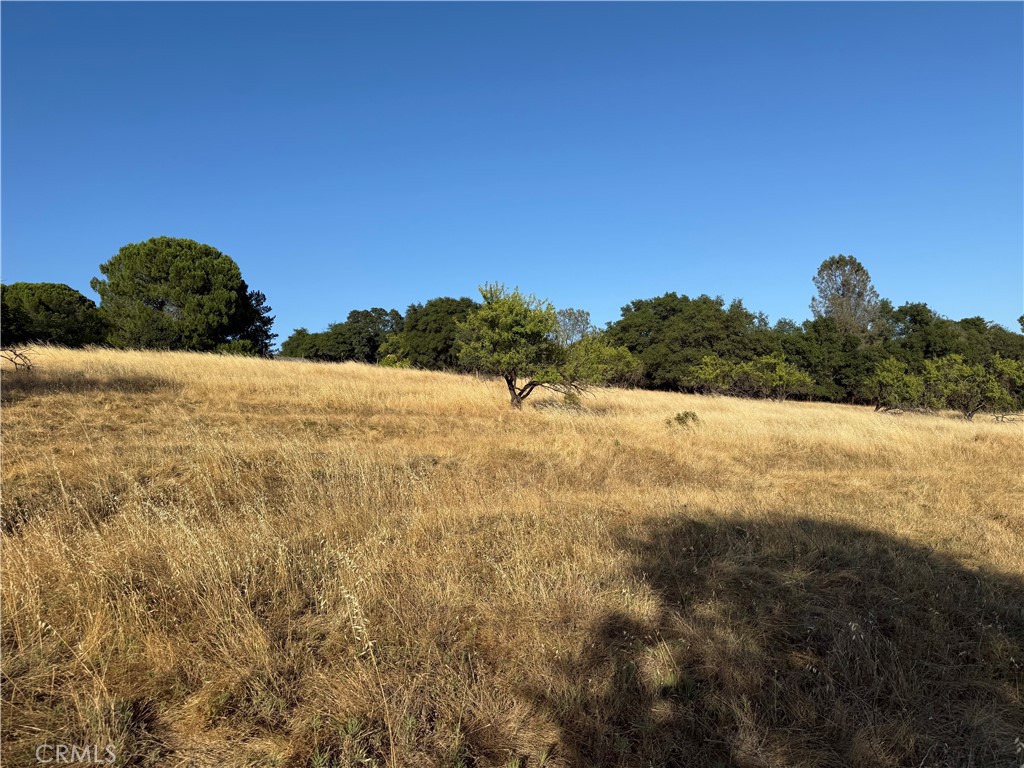 0 Skyline Boulevard