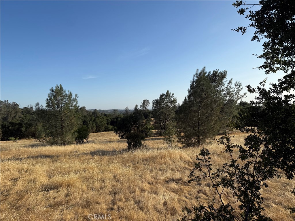 Exceptional Opportunity 5+ Acres in the Sought After Lower East Foothills of Oroville. Opportunities like this don’t come along often. This outstanding 5.44-acre parcel is located in one of Oroville’s most desirable areas the Lower East Foothills. It’s one of two adjoining parcels now available, offering the unique chance to purchase one or both for a combined total of 10.93 acres. Whether you're looking for a private retreat, a multi-home family compound, or just extra space to spread out, these parcels offer incredible flexibility. Enjoy the perfect balance of peaceful country living and city convenience. You're less than 10 minutes from local schools, shopping, and the expanding Oroville Hospital. Just five minutes in the other direction puts you at Lake Oroville and the Dam, with access to boating, fishing, hiking, and more. Take in nearly panoramic views of the surrounding valley and the majestic Sutter Buttes. According to the seller, water lines have been run to the property and power is available nearby, making the build process that much easier. This listing is for the lower parcel (APN ending in 084); the adjacent parcel (Skyline Blvd) is also available for purchase. Don't miss this exceptional opportunity to build your dream home in one of Oroville’s most scenic and sought after areas.