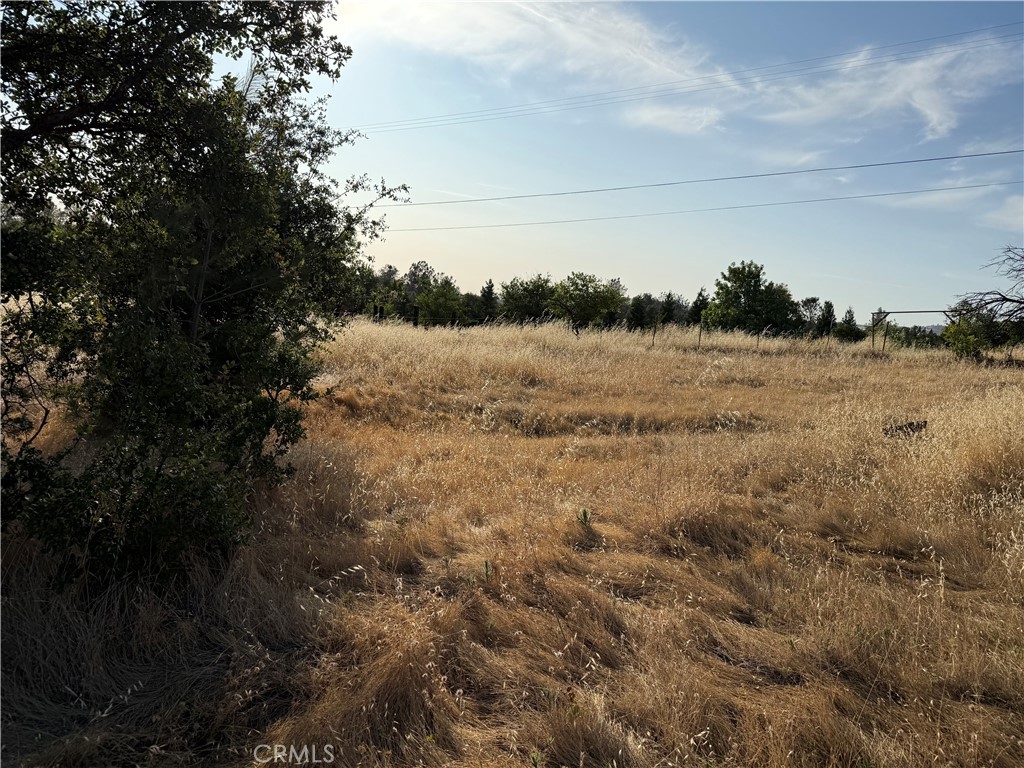 0 Skyline Boulevard