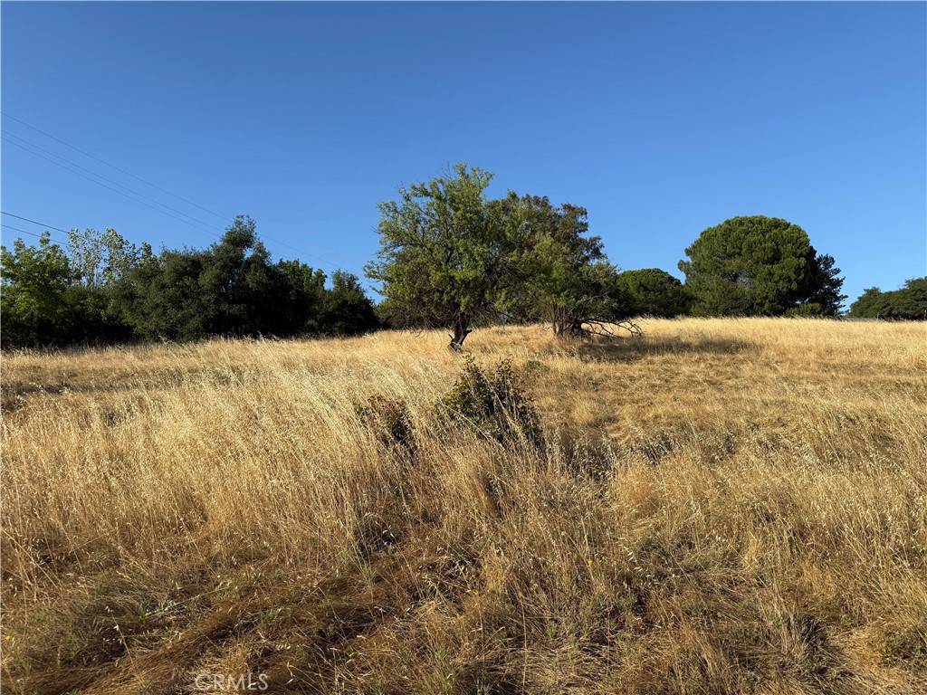 0 Skyline Boulevard
