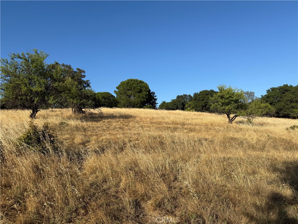 0 Skyline Boulevard