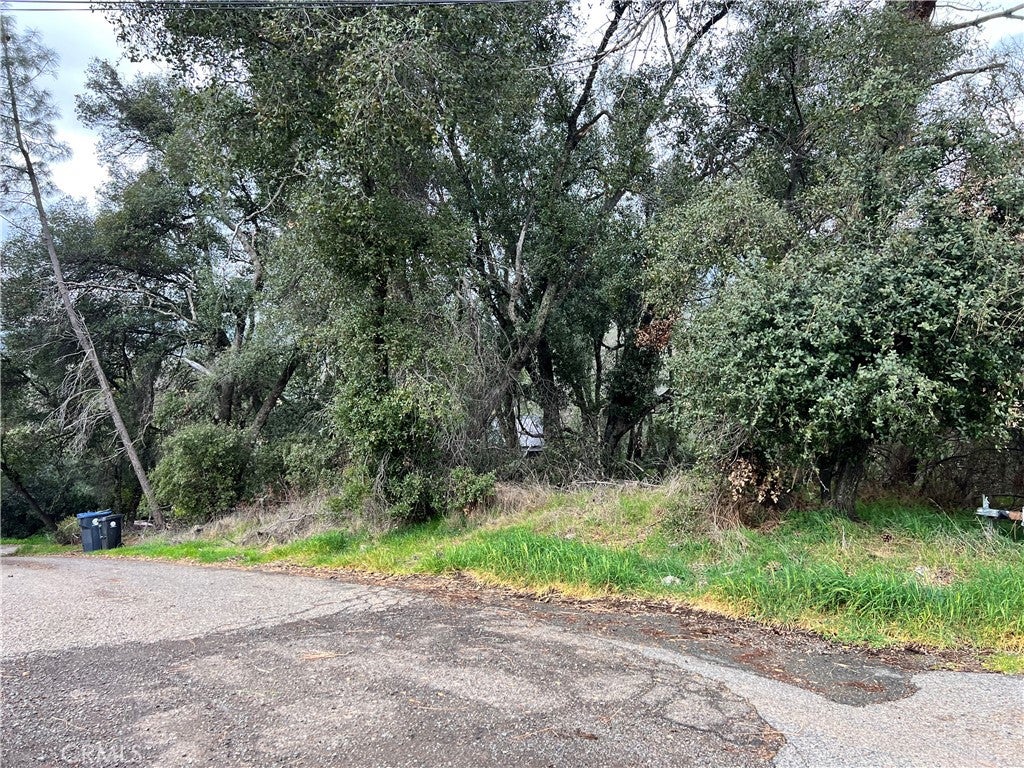 7166 Butte Court