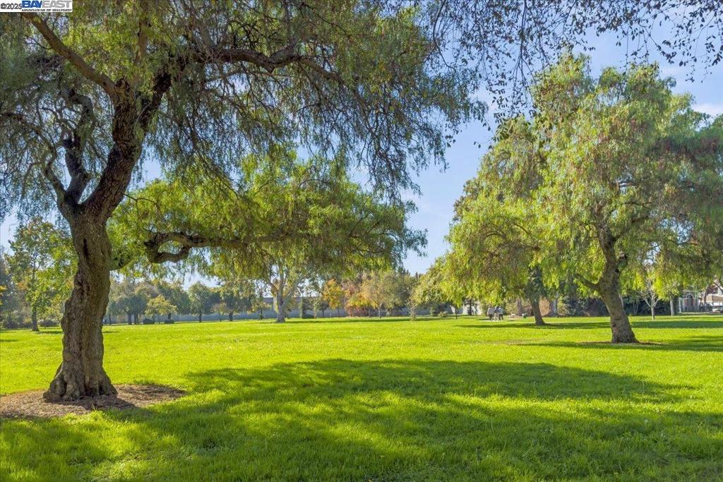 CA BLOSSOM - Residential