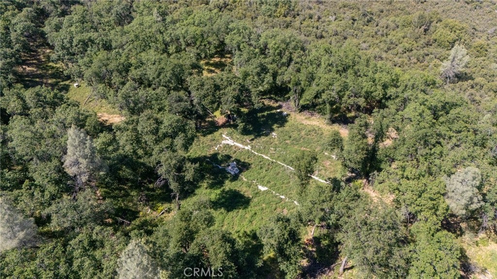 13520 Point Lakeview