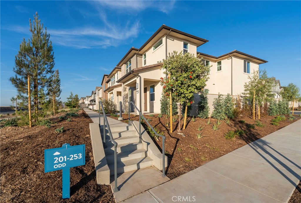 Portia - Residential Lease