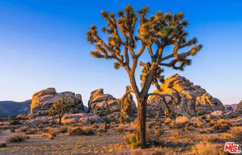 Photo of 0 Old Woman Springs Road, Pioneertown, CA 92268 (MLS # 26874013)